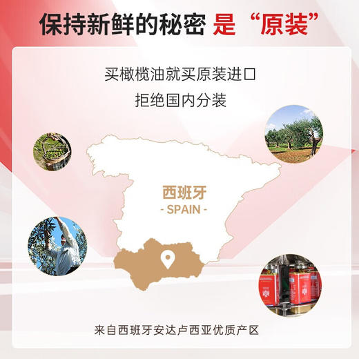 贝蒂斯（BETIS）特级初榨橄榄油 食用油 西班牙原装进口 1L/罐 热炒凉拌食用油 商品图6