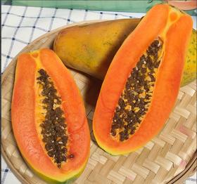 粤农臻品木瓜(约4.6斤/箱)