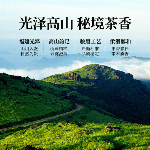 正山堂骏眉中国 正心发展崇仁红 特级红茶正宗茶叶罐装礼盒装送礼 商品图1