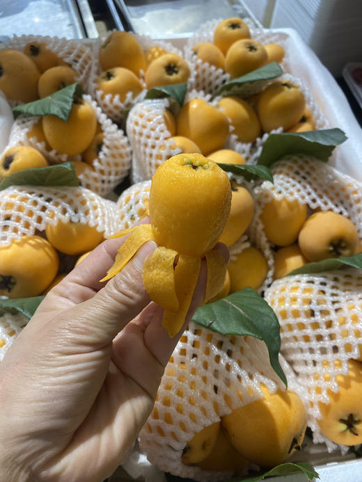 宏丰精选 云南蒙自枇杷，枇杷味浓郁，带点微酸，活动价19.8元一斤 商品图2