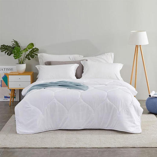 罗莱（LUOLAI） 恬梦暖绒纤维被 200*230cm+富安娜 素提四件套-特洛伊 230*250cm【HSZG20.0】 商品图1