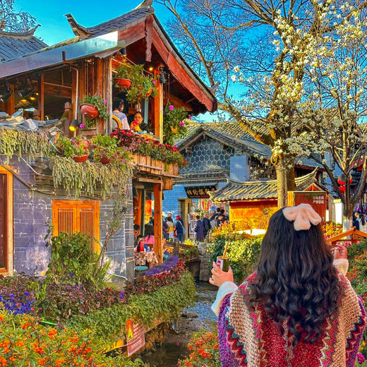 全新升级【云南爸妈乐】纯玩游康养之旅 一价全含 昆明+大理+丽江6天5晚 商品图4