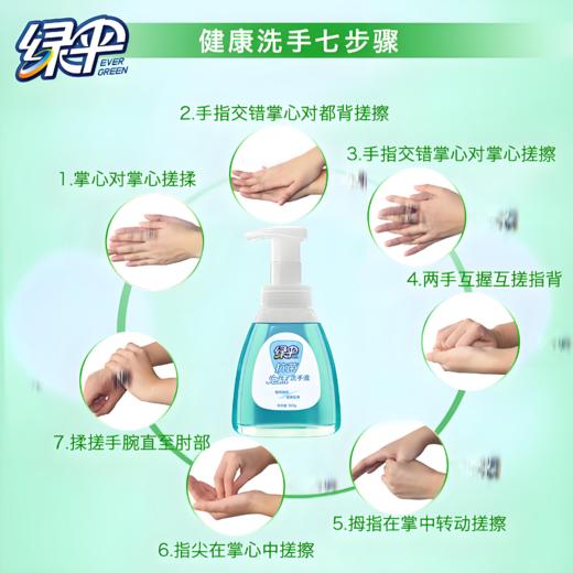 【亚欧超市】绿伞悠然海风抗菌洗手液500g/瓶 商品图1