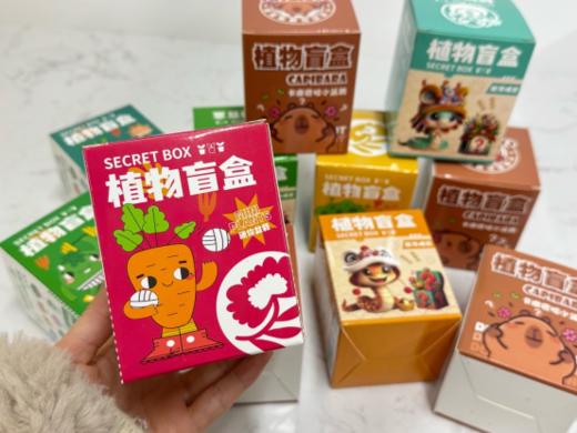 🌱孩子的春天第一课！29.8秒10盒👐【DIY创意植物盲盒】🔥，种出专属迷你绿植，🌸让孩子亲子动手，🗝解锁植物成长的秘密  商品图2