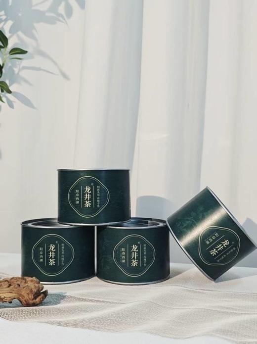 明前龙井茶❗正宗明前龙井特价到手4罐！【朴大师绿罐阳春龙井绿茶】西湖核心产区❗✅严选明前春茶头采，品龙井，一口江南春 ✅飘香明前，量大性价比高 商品图4