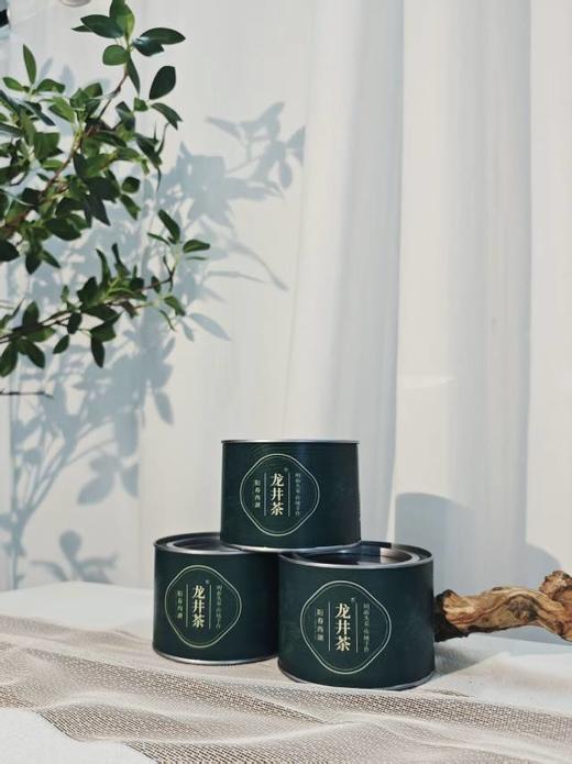 明前龙井茶❗正宗明前龙井特价到手4罐！【朴大师绿罐阳春龙井绿茶】西湖核心产区❗✅严选明前春茶头采，品龙井，一口江南春 ✅飘香明前，量大性价比高 商品图3