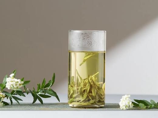 明前龙井茶❗正宗明前龙井特价到手4罐！【朴大师绿罐阳春龙井绿茶】西湖核心产区❗✅严选明前春茶头采，品龙井，一口江南春 ✅飘香明前，量大性价比高 商品图6