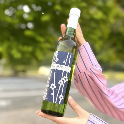 日本春日梅酒三大门派！米酒、茶酒、葡萄酒酿造哪款更好喝？ 商品图5