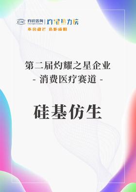 不啻微芒，造炬成阳丨硅基仿生荣登2023年度“灼耀热力榜”榜单