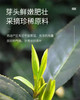 明前龙井茶❗正宗明前龙井特价到手4罐！【朴大师绿罐阳春龙井绿茶】西湖核心产区❗✅严选明前春茶头采，品龙井，一口江南春 ✅飘香明前，量大性价比高 商品缩略图2