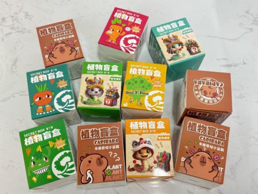 🌱孩子的春天第一课！29.8秒10盒👐【DIY创意植物盲盒】🔥，种出专属迷你绿植，🌸让孩子亲子动手，🗝解锁植物成长的秘密  商品图1