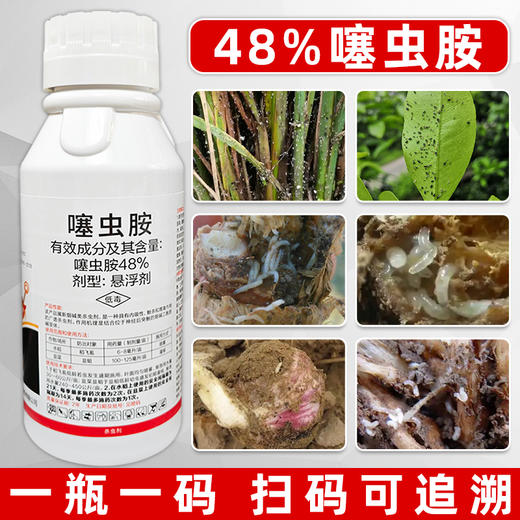 正品48%噻虫胺升级版杀虫剂水稻大田除稻飞虱韭菜除蛆专用杀虫剂 商品图4