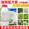 油铜锰方案矿物油代森锰锌喹啉铜杀虫剂柑橘果树专用杀螨剂杀虫剂 商品缩略图0