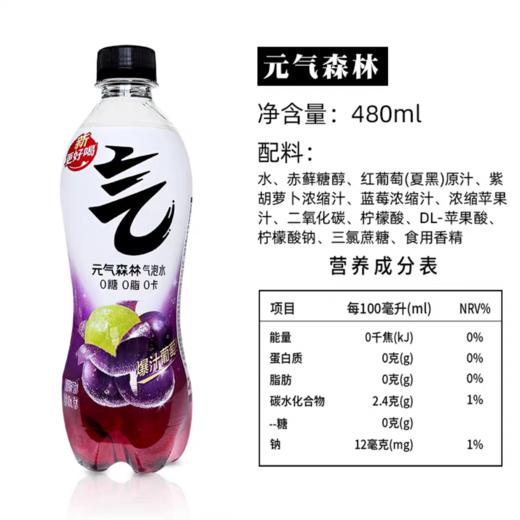 元气森林气泡水480ml*15 商品图13