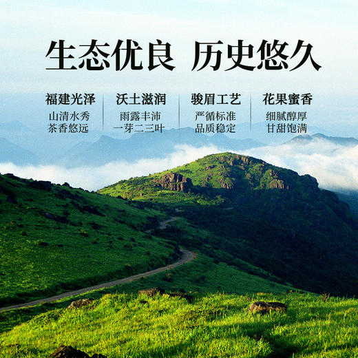 正山堂骏眉中国 正心发展止马红 特级红茶正宗茶叶罐装礼盒装送礼 商品图2