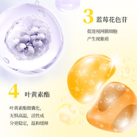 恒寿堂 蓝莓叶黄素软糖 60g 多规格 商品图3