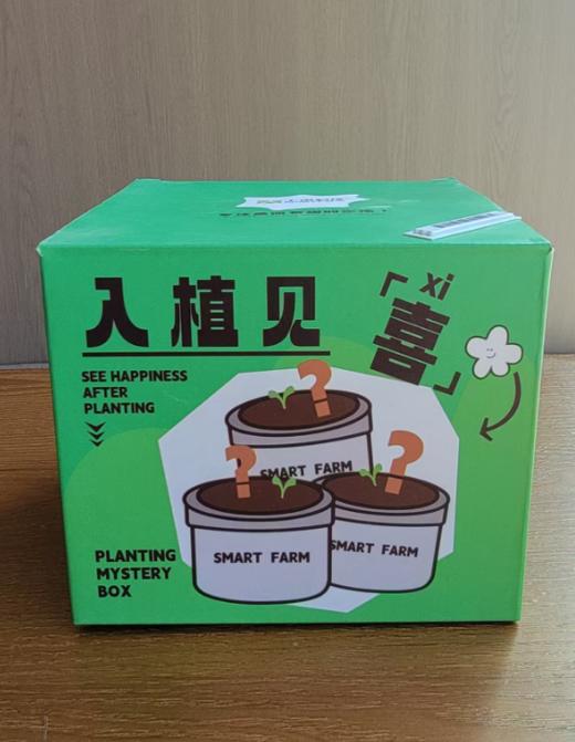 植物盒子-入植见喜 商品图1