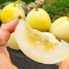 【分仓直发包邮】星甜小蜜蜂甜瓜 （表皮黄白色）3斤（3-7个） 商品缩略图3