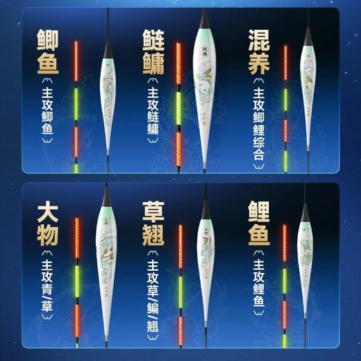汉鼎夜光漂咬钩变色日夜两用电子鱼漂夜野钓灵敏醒目鱼漂钓鱼用具 商品图2