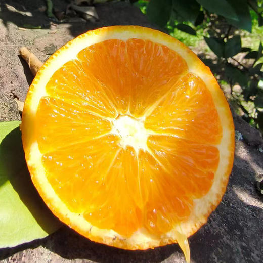 云阳伦晚脐橙，精选中大果，一箱净重10斤左右，发顺丰 商品图2