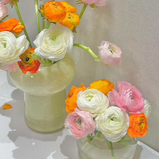 新鲜鲜花  洋牡丹鲜切花10支 白色/红色/粉色/黄色/橙色（可备注送货时间） 商品图0