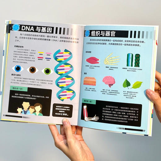 《60秒天才小百科》全4册6-12岁 500个热门知识点 4大趣味主题 2000张生动插图 板块化知识 让孩子轻松了解人类世界的生存与发展 商品图4