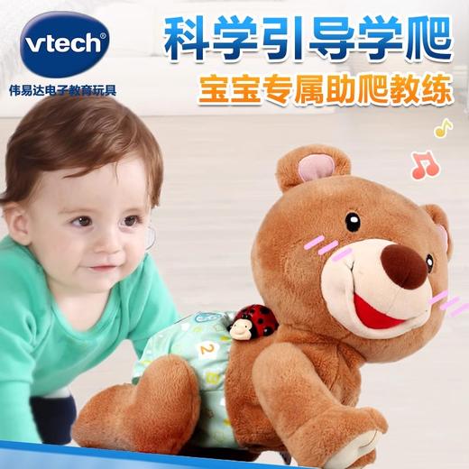 VTech伟易达学爬布布熊婴儿引导爬娃玩具宝宝爬行神器电动爬爬熊 商品图0