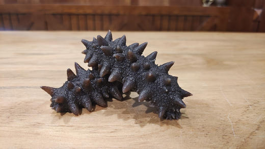 千叶群岛淡干速发海参(21瓶.盒，42只装) 商品图4