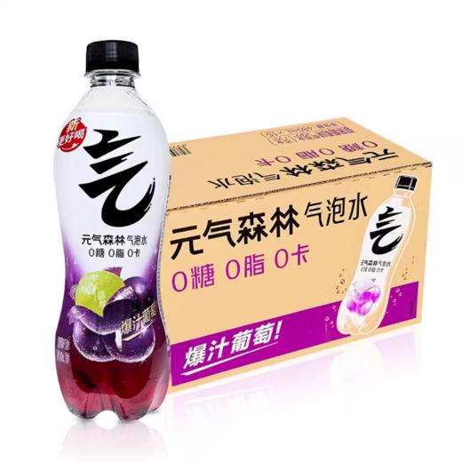 元气森林气泡水480ml*15 商品图12