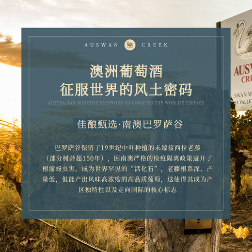 【澳大利亚国会用酒】天鹅庄1号珍藏赤霞珠 前驻华大使芮捷锐推荐 澳大利亚进口 14%vol 商品图6