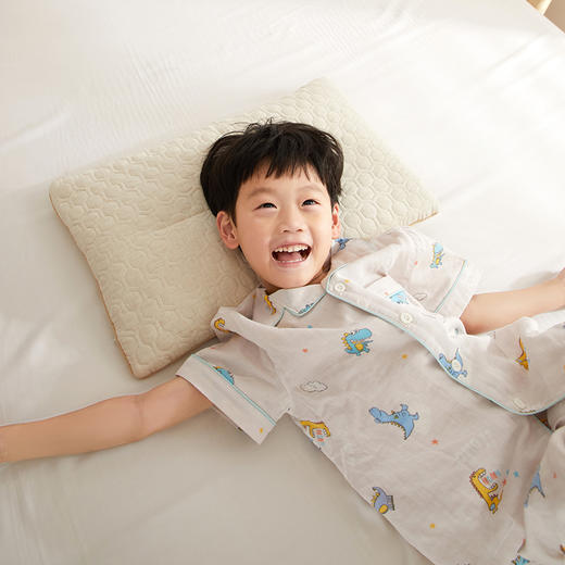 自然醒A类亲子亚麻荞麦枕全荞麦壳枕芯成人低枕家用护颈专用睡眠硬枕XK 商品图7