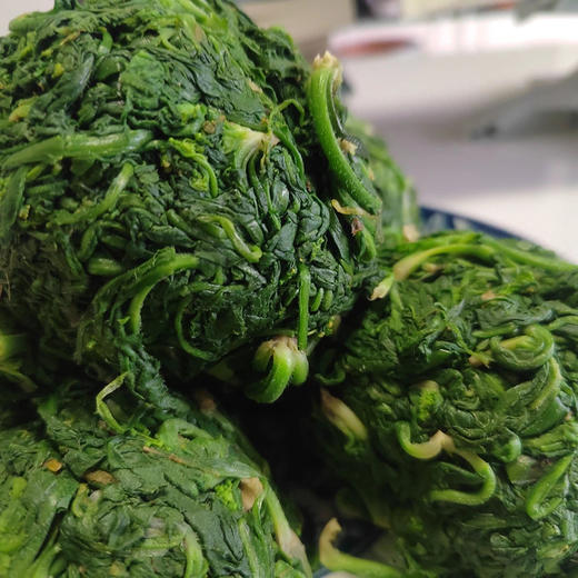 【下单后72小时发货】野生速冻荠菜2斤装左右/4斤装左右，挖来的荠菜先摘好，再洗干净，用热水烫了，控水，冷冻了发货，介意勿拍！ 商品图2