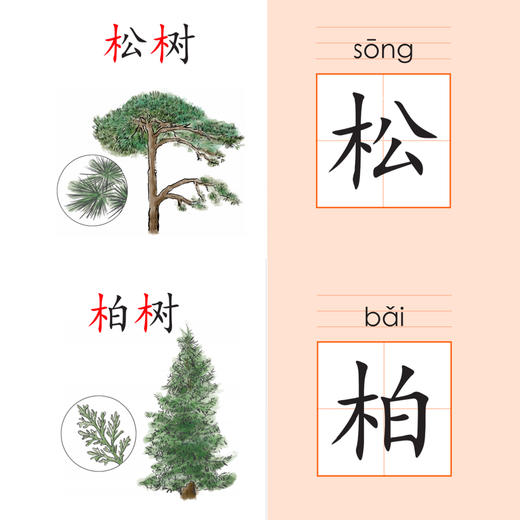 《汉字魔卡》 商品图14