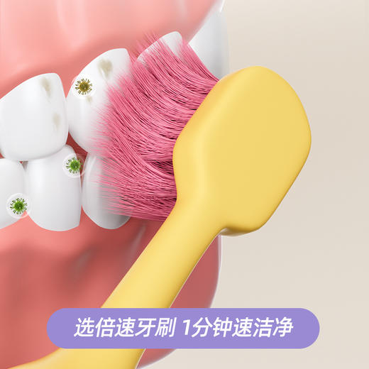 【小胖墩宽头，刷牙新活力~】三支装！小胖墩成人抑菌软毛牙刷单支装 家用情侣护龈宽头软毛高级牙刷-QQ 商品图3