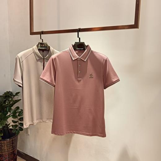 夏季男士薄款T恤商务休闲舒适时尚翻领短袖polo衫上衣   FL-T6111* 商品图0