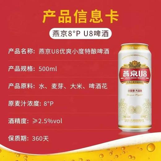 燕京U8优爽小度特酿啤酒 8°P听装 500ml*1 商品图5