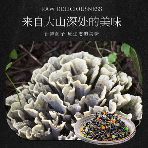 林端上品 鲜制云南野生菌 云南野生菌B套装礼盒 商品图1