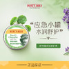 伯特小蜜蜂积雪草多效修护膏17g_PX 商品缩略图0