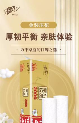 卫生卷纸（丽邦 清风）