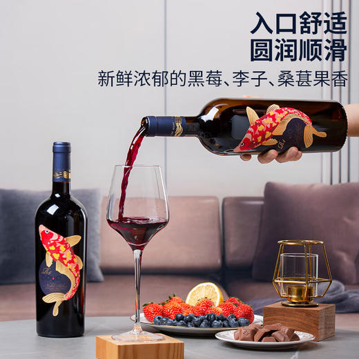傲鱼尊蓝R4赤霞珠红葡萄酒750ML瓶*1瓶（无礼盒）100%智利原瓶进口【XPTX】 商品图1