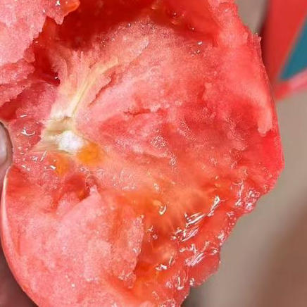 【新鲜普罗旺斯西红柿🍅】经典中的经典，自然熟🌿，皮薄沙瓤😋，番茄味儿浓郁，水分多💦，沙沙糯糯，低卡减肥果。 商品图5