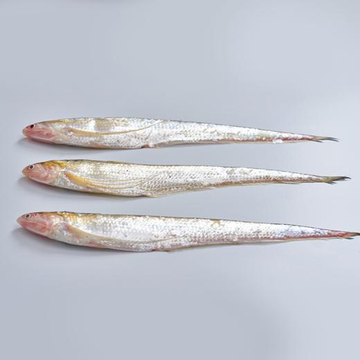 冰鲜丨海刀鱼 250g/3条 老饕心头好 鳞片全 鲜度高 弱骨柔肌 鳞如细浪 商品图3