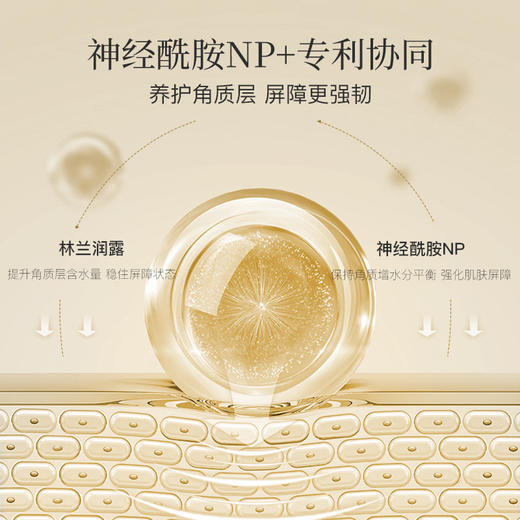 阿古丽娅 茶树香氛美肌沐浴油 改善暗沉滋润补水嫩肤提亮养肤 商品图2