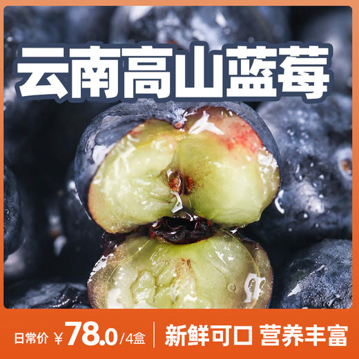 苗家圆圆云南高山蓝莓 现摘现发 应季水果脆甜多汁 自然成熟手工采摘 500g/1000g 顺丰空运（零下地区慎拍  冻坏不售后） 商品图0