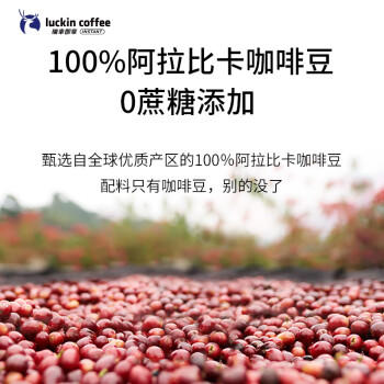 瑞幸咖啡挂耳咖啡小布偶10g*20袋手冲滤泡挂耳黑咖啡粉0蔗糖深烘运动健身 商品图0