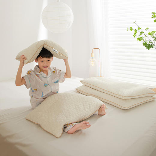 自然醒A类亲子亚麻荞麦枕全荞麦壳枕芯成人低枕家用护颈专用睡眠硬枕XK 商品图8