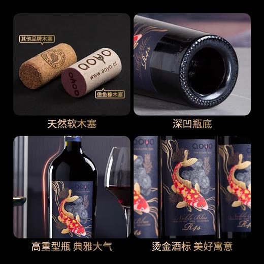 傲鱼尊蓝R4S赤霞珠半甜红葡萄酒750ML*1瓶（无礼盒） 100%智利原瓶进口【XPTX】 商品图4
