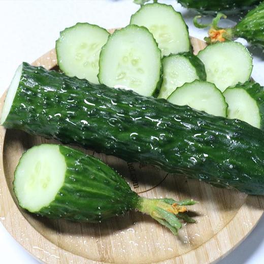 周一取货：【农家带刺黄瓜】一袋2斤左右，清脆爽口，瓜味浓郁，新鲜美味！ 商品图0