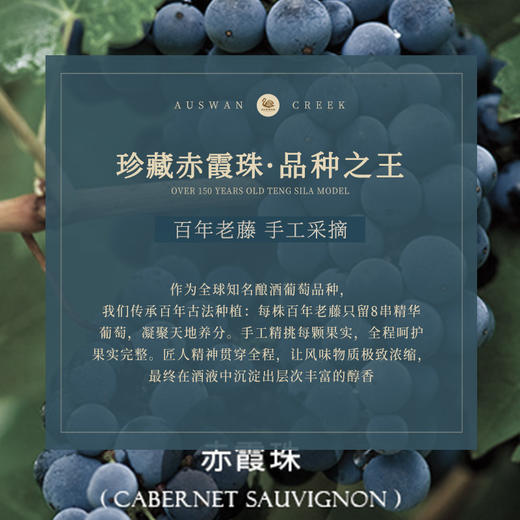 【澳大利亚国会用酒】天鹅庄1号珍藏赤霞珠 前驻华大使芮捷锐推荐 澳大利亚进口 14%vol 商品图7