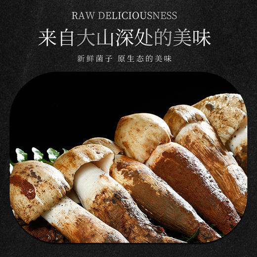 林端上品 鲜制云南野生菌 云南野生菌B套装礼盒 商品图2